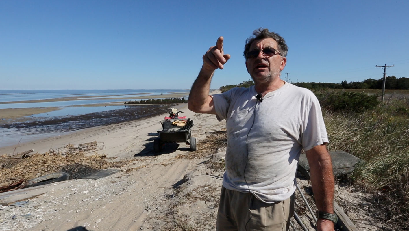 Delaware Bay Oyster Farming